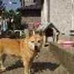 yukohama