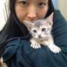 shidukuしづく