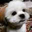 takaponpp