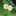 yoco_chan yoco_chan