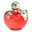 apple_poi