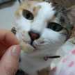 クック7D6J1I☆