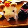 ★☆しまじろう☆★