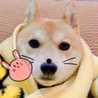 ゆづさん＊