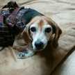 みかんッピ▽・ｗ・▽