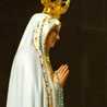 Immaculata