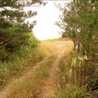 indiansun