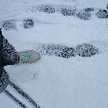 tsuji_moon
