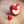 SkinApple