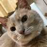 ゆりぽんず。