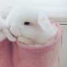 もえか♡