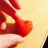 ぷちtomato