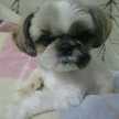 ＊Honey_