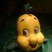 ggbear