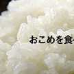 はちはち食堂