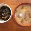 ビギナー料理研究家