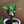 クックUHK7NV☆