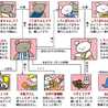 はらへりはなめがね