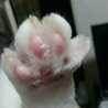 にく球