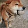 Nameko〜