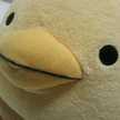 shinamiy
