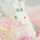 うえにゃん0830 うえにゃん0830