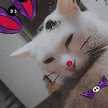 ☆Mi_Shi☆
