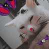 ☆Mi_Shi☆