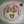 まやぴょん