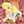 三つ子まま
