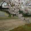 ❤恋雷⚡