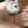 ぶーちぶーち