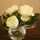 ffsmile777 ffsmile777