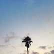 Pii_thx