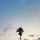 Pii_thx Pii_thx