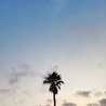 Pii_thx