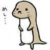 ザキコ食堂