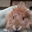 綱人あーちゃ