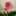 morimori8 morimori8