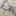 子育てらくだ 子育てらくだ