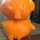 クックM6PBKG☆