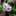 クックヤマジュン クックヤマジュン