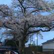 みくっていいます。