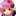grayage grayage