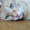 hano♡