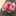 そうすき そうすき