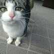 ずっぴ、