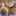 hinoue hinoue
