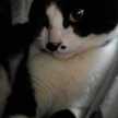 nathalie７