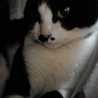 nathalie７